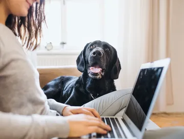 Behavior Shaping Classes for Puppies Scottsdale Pet Owners Trust
