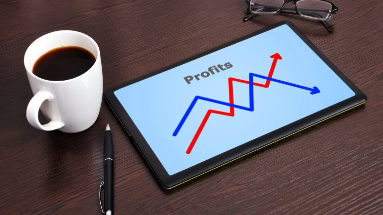 Profit and Loss Statement Reading Guide for Non Financial Business Owners
